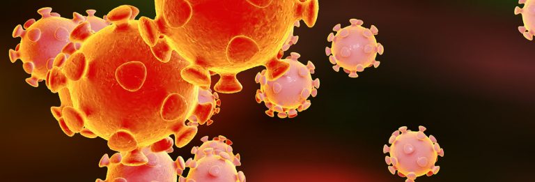 coronavirus image iStock 628925532 full width wide