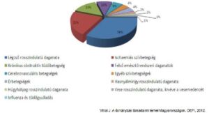 Dohányzásnak tulajdonítható halálozások aránya diagnózis csoportok szerint (2010)